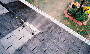 Roof Cleaning in Dallas TX Roof Cleaning Services in Dallas TX Roof Cleaning in TX Dallas Clean the roof in Dallas TX Roof Cleaner in Dallas TX Roof Cleaner in TX Dallas Quality Roof Cleaning in Dallas TX Quality Roof Cleaning in TX Dallas Professional Roof Cleaning in Dallas TX Professional Roof Cleaning in TX Dallas Roof Services in Dallas TX Roof Services in TX Dallas Roofing in Dallas TX Roofing in TX Dallas Clean the roof in Dallas TX Cheap Roof Cleaning in Dallas TX Cheap Roof Cleaning in TX Dallas Estimates on Roof Cleaning in Dallas TX Estimates in Roof Cleaning in TX Dallas Free Estimates in Roof Cleaning in Dallas TX Free Estimates in Roof Cleaning in TX Dallas